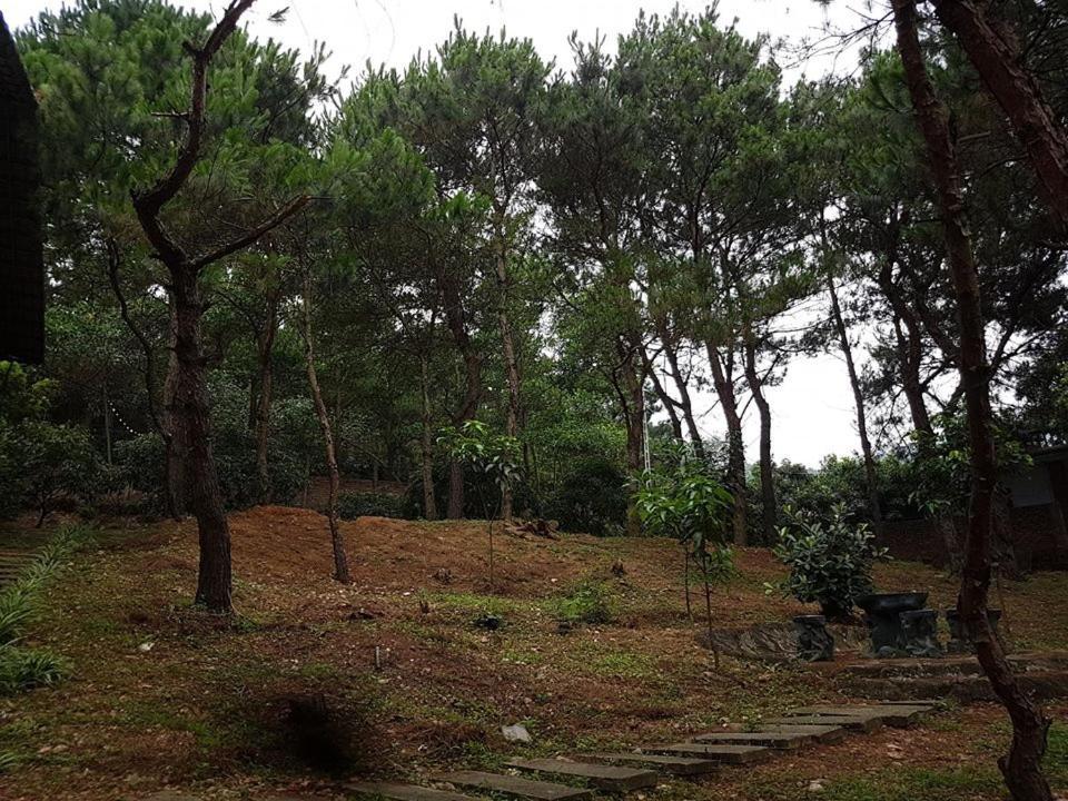 Bachlien Pine Forest Villa Hanoi Exterior photo